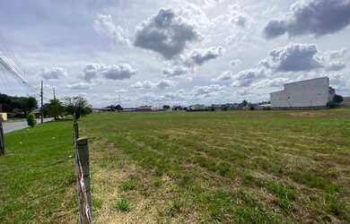 Imagem 4: Lote/Terreno para venda com 20000 metros quadrados em São Cristóvão - São José dos Pinhais