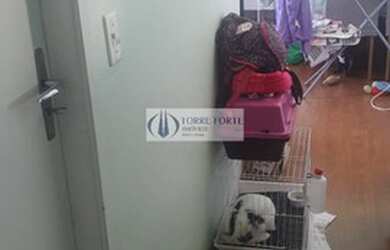 Imagem 4: Apartamento 2 dormitórios , 1 vaga no Jardim Aricanduva