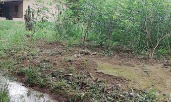 Imagem 2: Chácara com 2 dormitórios à venda, 13000 m² por R$ 390.000,00 - Distrito Agroindustrial de