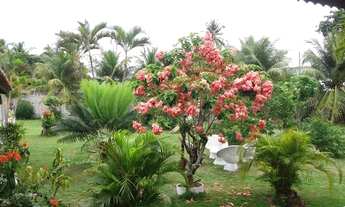 Imagem 6: BELÍSSIMA CHÁCARA NO CENTRO DA VALORIZAÇÃO DO EUSÉBIO