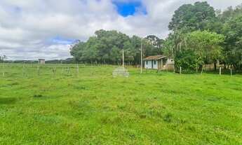 Imagem: Fazenda/Sítio/Chácara para venda com 190