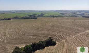 Imagem 2: Ótima fazenda a venda próxima a Rodovia Castelo Branco em Porto Feliz