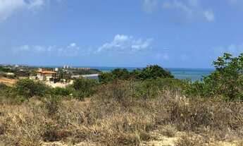 Imagem 6: Terreno carapibus