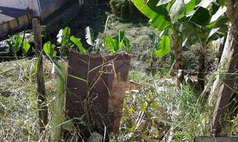 Imagem 6: Terreno à venda, 400 m² por R$ 130.000,00 - Centro - Nova Friburgo/RJ