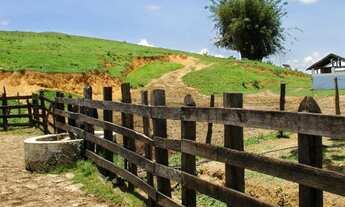 Imagem: Fazenda em Guaramirim /SC