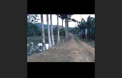 Imagem 3: Chácara em Luiz alves