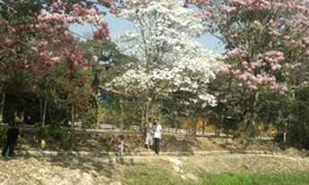 Imagem 4: Condomínio Quintas do Rio Manso em Brumadinho MG