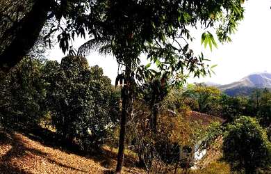 Imagem 7: Casa no centro de Bananal SP com 345 M2 com 3 quartos (suite