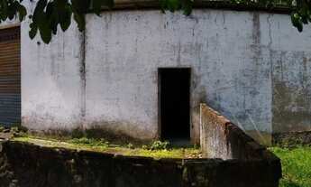 Imagem 3: Vendo Sítio em Marituba com quase 5 Hectares de terra, terreno todo documentado