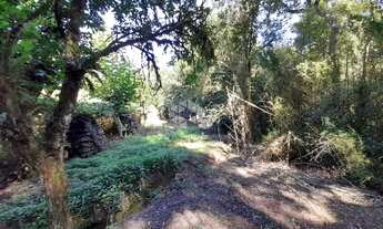 Imagem 5: VALE DOS VINHEDOS (BENTO GONçA - Chácara - Vale Dos Vinhedos