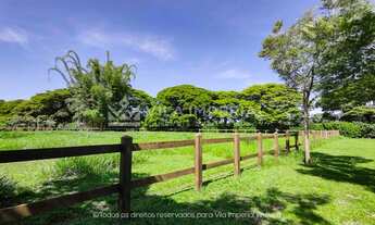 Imagem: Excelente lote à venda no Haras Larissa!