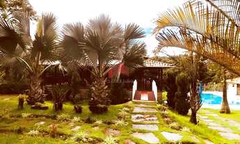 Imagem 3: Esmeraldas - Sítio - Ipe Amarelo