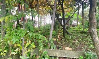 Imagem 4: TERRENO PARA VENDA NO BAIRRO PIONEIRO COM UMA ÁREA TOTAL DE 341,25m²