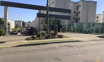 Imagem 7: Canoas - Padrão - São José