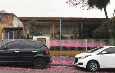 Imagem 2: Lote/Terreno para venda com 1240 metros quadrados