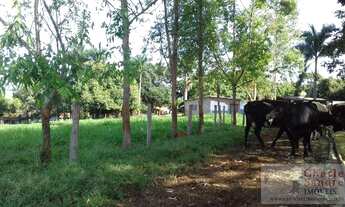 Imagem 3: Chácara para Venda em Petrolina de Goiás, Zona Rural, 3 dormitórios, 1 banheiro, 1 vaga