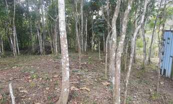 Imagem 5: Sítio para venda com 1500 metros quadrados em Camboriú - SC