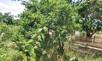 Imagem 6: Terra para Venda em Limeira, Bairro dos Pires