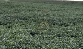 Imagem: Fazenda à venda, 653400 m² por R$ 8.000.000,00