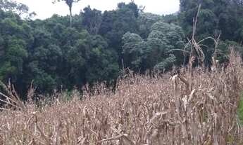 Imagem 3: Excelente Chacara sem benfeitorias com 9.500 m2 lavras 330.000