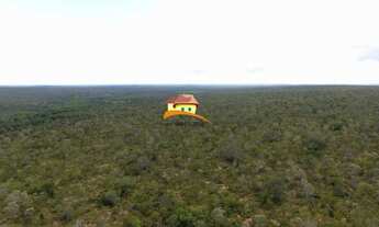 Imagem 6: Fazenda para Venda em Luzinópolis, Vale do Araguaia