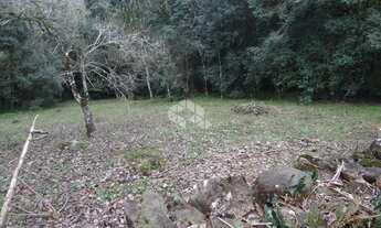 Imagem 7: VALE DOS VINHEDOS (BENTO GONçA - Chácara - Vale Dos Vinhedos