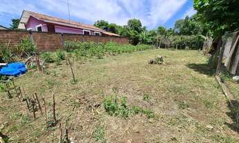 Imagem 6: Terreno em Quatros Barras com 550 metros