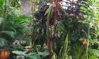 Imagem 2: Casa com 2 dormitórios à venda por R$ 650.000,00 - Centro - Teixeira de Freitas/BA