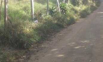 Imagem 2: Sítio à venda, 5000 m² por R$ 500.000,00 - Jardim Califórnia - Jacareí/SP