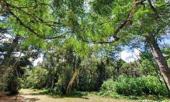 Imagem: Terreno para Venda em Teresópolis, Fazenda