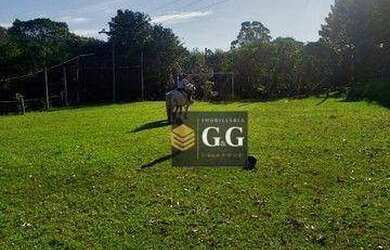 Imagem 2: Sítio com 3 dormitórios à venda, 26420 m² por R$ 550.000,00 - Sitio São José - Viamão/RS