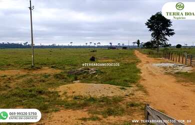 Imagem 2: FAZENDA 285 HECTARES TODA FORMADA EM PASTO