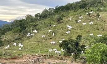 Imagem 2: Vende-se uma bela fazenda de 23 Alqueires