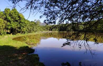 Imagem 5: Lindo sítio em Igarapé