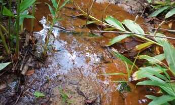 Imagem 6: Terreno de 8,5 Hectares em Itaúna/MG