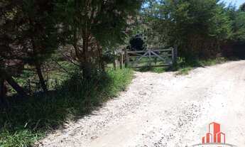 Imagem 3: Belíssima Área em Natividade !