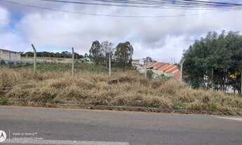 Imagem 4: Lote/Terreno para venda com 3242 metros quadrados em Jardim Amélia - Pinhais - PR