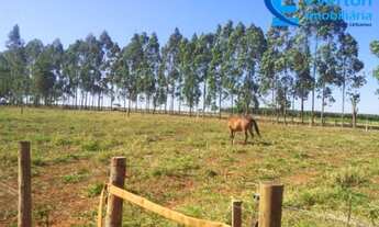 Imagem 3: Chácara em condomínio com 25.000 m², em Uberlândia - MG