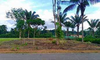 Imagem 6: Chácaras Rio Negro, lotes 3.000 m2, excelentes preço e transferência