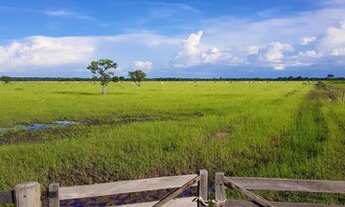 Imagem: Fazenda á venda 4.800 Ha, município de