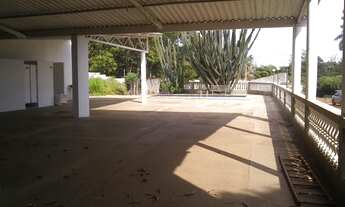 Imagem 6: AREA / CHACARA OPÇÃO CONSTRUÇÃO DE GALPOES