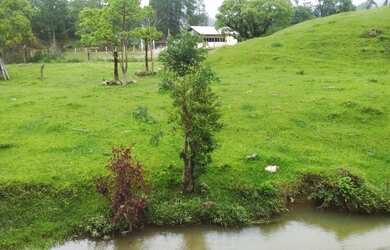 Imagem 4: Sítio espetacular,22 Hectares, plano, com rio, pasto, nascente! Grande Oportunidade!