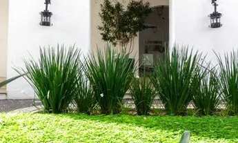 Imagem 2: Locação Apartamento com 3 dormitórios