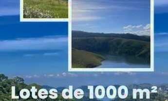 Imagem 3: Lotes de 1000m²