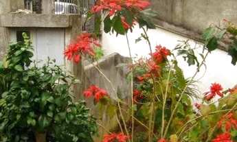 Imagem 5: São Paulo - Casa Padrão - CASA VERDE