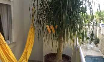 Imagem 4: ÓTIMO APARTAMENTO 2 QUARTOS para ALUGUEL ANULA - em Jurerê Internacional!