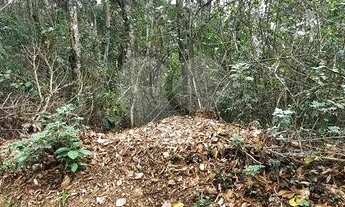 Imagem 5: Terreno Residencial Venda - 1070 m², excelente localização - Serra da Cantareira - Mairipo