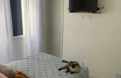 Imagem 5: Aluga-se casa no Sim