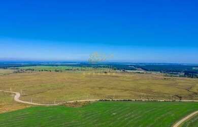 Imagem 5: Palmeira, 99 alqueires, 239 hectares - Dupla Aptidão