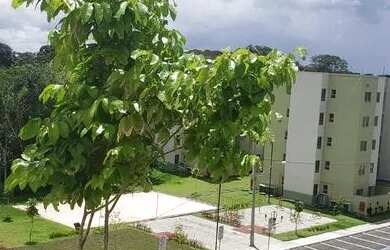 Imagem 4: Conquista Tarumã - Apto 2 quartos